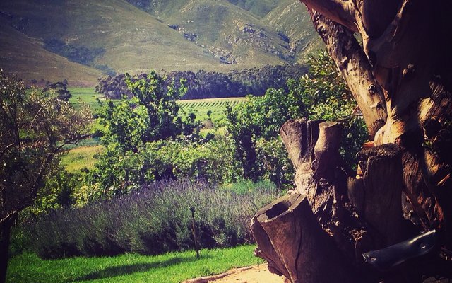 Sir Robert Stanford Estate Sir Robert Stanford Estate